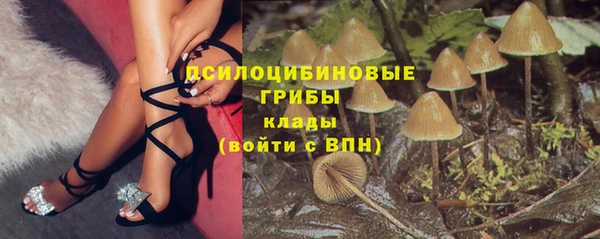 мескалин Арсеньев